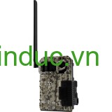 Máy bẫy ảnh Spypoint LINK-MICRO-LTE (kết nối mạng điện thoại) (Hãng Spypoint - Canada)