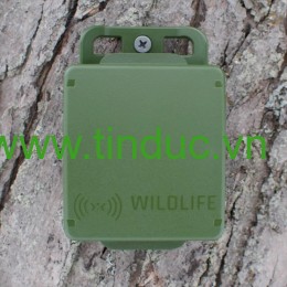 Máy ghi âm Wildlife Acoustics Song Meter Micro - Hàng chính hãng