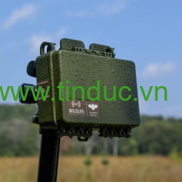 Máy ghi âm Wildlife Acoustics Song Meter Mini Bat 2 AA - Hàng chính hãng