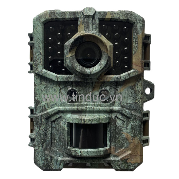 Máy bẫy ảnh Terino CAM-4K (Video 4K, gắn hồng ngoại không phát hiện, màu vàng) - Hàng chính hãng 