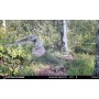 Máy bẫy ảnh Stealth Cam G42 No-Glo 10.0MP gắn hồng ngoại 4