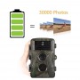 Máy bẫy ảnh TERINO CAM12MP gắn hồng ngoại (New)- Hàng chính hãng 4