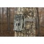Máy bẫy ảnh  Bushnell Trophy Cam HD 24 MP có gắn hồng ngoại 3