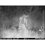 Máy bẫy ảnh Spypoint Solar-Dark (Pin năng lượng mặt trời) (Hãng Spypoint - Canada) 5