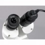 Camera màu phân giải cao AmScope MD500 CMOS USB 2.0 5MP dùng cho kính hiển vi (Hãng AmScope - Mỹ) 4