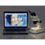 Camera màu phân giải cao AmScope MD500 CMOS USB 2.0 5MP dùng cho kính hiển vi (Hãng AmScope - Mỹ) 1