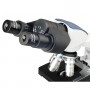 Kính hiển vi hai mắt LED AmScope B120C-E5 (40X-2500X, kèm Camera) - (Hãng AmScope - Mỹ) 9