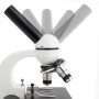 Kính hiển vi một mắt Amscope M158C-E phóng đại  40X-1000X kèm Camera USB (Hãng AmScope - Mỹ) 6
