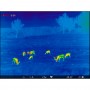 Ống nhòm ảnh nhiệt Pulsar Helion 2 XP50 2.5-20 4