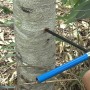 Khoan tăng trưởng Haglof 10-100-1006 (dài 150mm, đường kính mũi 4.3mm) ( Hãng Haglöf - Thụy Điển) 2