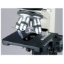 Kính hiển vi tương phản pha AmScope T490 (40X-2500X) kèm camera 6.3MP USB 3.0 (Hãng AmScope - Mỹ) 7