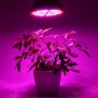 Đèn Led chống nước trồng cây trong nhà Terino D38FS (300W, Full Spectrum, đèn toàn dải quang phổ) - Hàng chính hãng 2