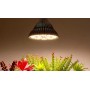 Đèn Led chống nước trồng cây trong nhà Terino D38FS (300W, Sunlight) - Hàng chính hãng 3