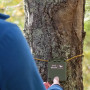Máy ghi âm Wildlife Acoustics  Song Meter Micro 2 - Hàng chính hãng  2