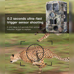 Máy bẫy ảnh Terino HD48-4K (48 MP, Video 4K, Xem hình ảnh trên LCD, IP66) - Hàng chính hãng 5