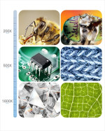 Kính hiển vi kỹ thuật số Terino HD101-1600C (Phóng đại 1600X, 10.1 Inch IPS HD) - Hàng chính hãng 4