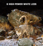 Máy bẫy ảnh chuyên dụng Terino RD36W-4K (quay, chụp ảnh đèn Flash ban đêm có màu,36 MP, video 4K, chống nước IP67,cảm biến PIR siêu nhạy) - Hàng chính hãng 4