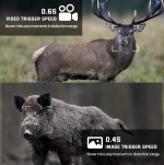 Máy bẫy ảnh chuyên dụng Terino RD36W-4K (quay, chụp ảnh đèn Flash ban đêm có màu,36 MP, video 4K, chống nước IP67,cảm biến PIR siêu nhạy) - Hàng chính hãng 9