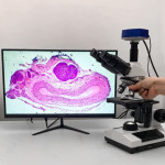 Kính hiển vi cao cấp 3 mắt soi tinh trùng, tế bào, vi khuẩn Terino XW-005T kèm Camera Terino 638USB-HDMI (40X-2500X; 38MP, Cổng ra USB, HDMI) - Hàng chính hãng 11